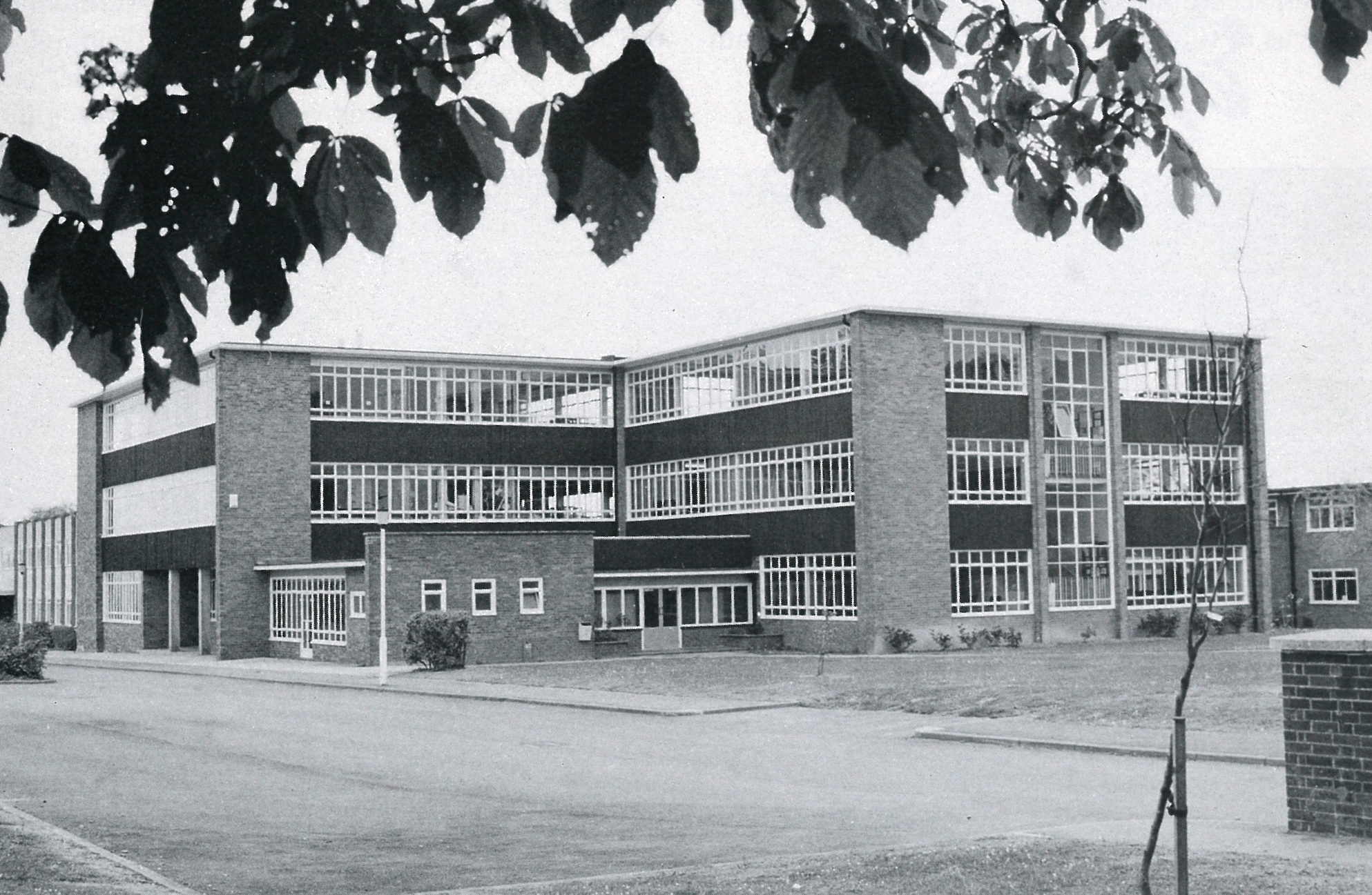 Educating East Grinstead RH Uncovered