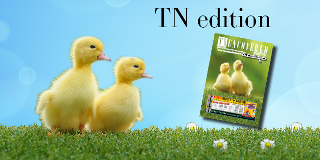 April 2015 – TN Uncovered