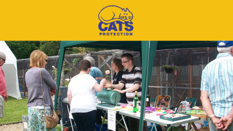 A Summer Garden Party And Rehoming Cats With Cats Protection