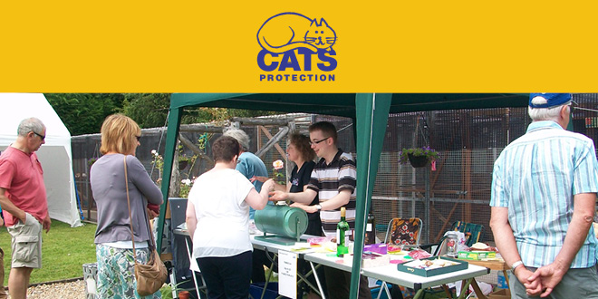 A Summer Garden Party And Rehoming Cats With Cats Protection