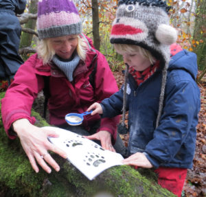 making-paw-prints-(c)-Sue-Curnock,-Sussex-Wildlife-Trust