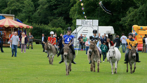 Saddle Up For Second Donkey Derby