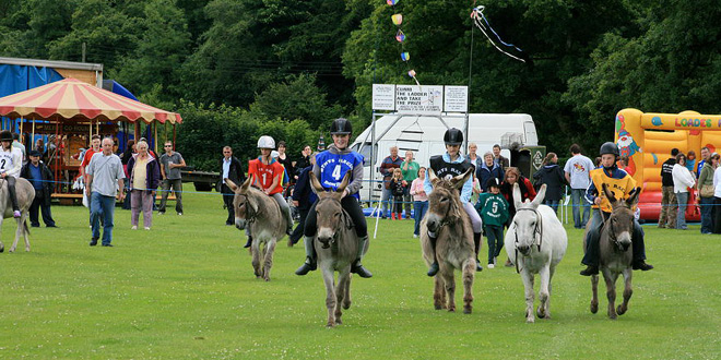 Saddle Up For Second Donkey Derby