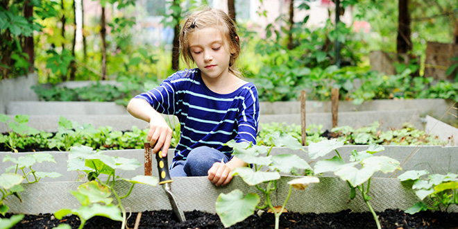 Haywards Heath Horticultural Society Keen For Young Volunteers