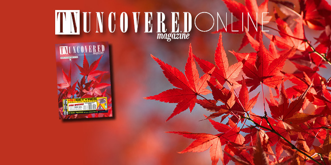 November 2015 – TN Uncovered