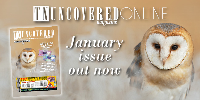 January 2016 – TN Uncovered