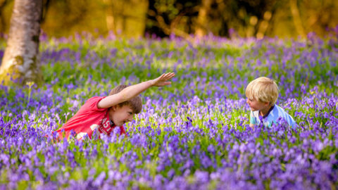 Spring Has Sprung At Wakehurst