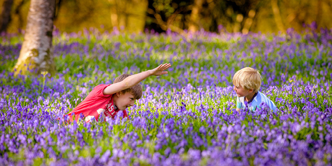 Spring Has Sprung At Wakehurst