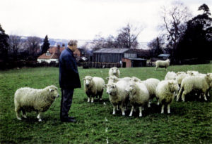 Image 036  Jack with his animals-web2