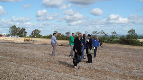 Neils Club A Place For People With Young Onset Dementia