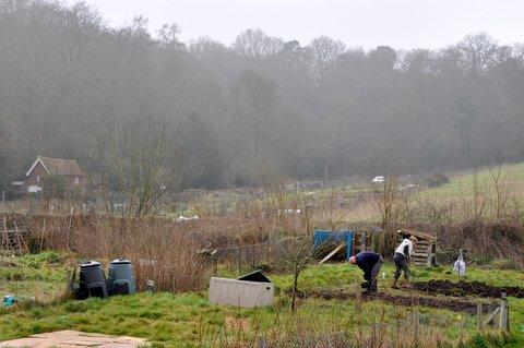 Allotment Life 3