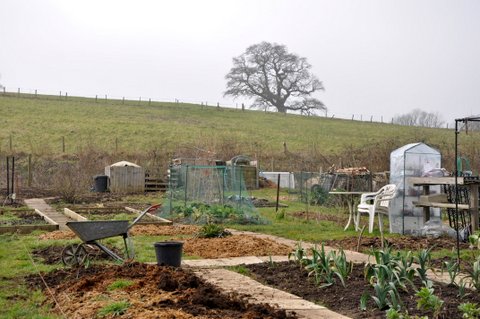 Allotment Life 5