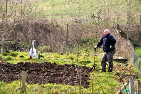 Allotment Life 6