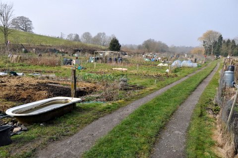 Allotment Life 7