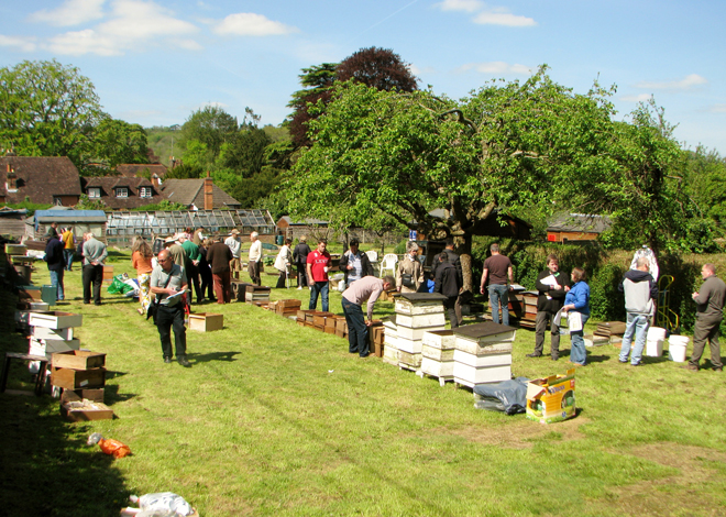 Auction of Beekeeping Equipment & Bees