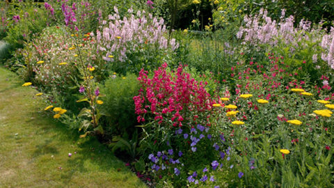 Green Fingered And Creative In West Hoathly And Sharpthorne