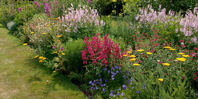 Green Fingered And Creative In West Hoathly And Sharpthorne