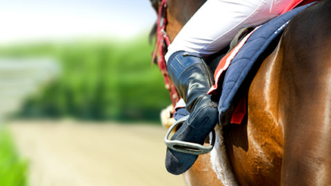 Horsing Around For Charity