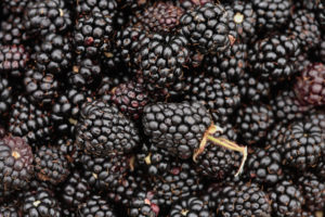 blackberries