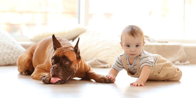 Furever Friends: How Your Pet Improves Your Child’s Development