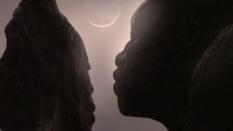 Hollow Dog - Its Never Too Late To Change