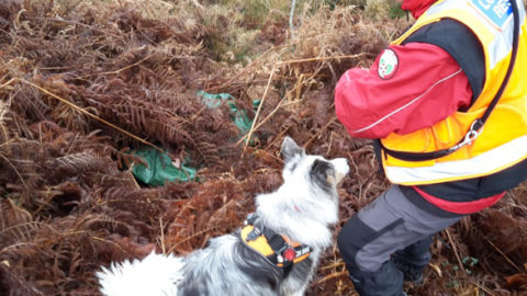 The Volunteers Making Sussex Safer