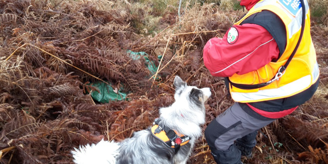 The Volunteers Making Sussex Safer