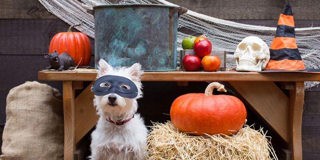 Half-Term Spooktacular!