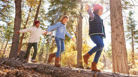 Have A Happy Half Term