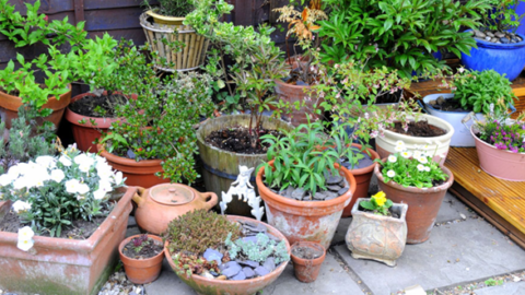 Making The Most Of Your Container Garden