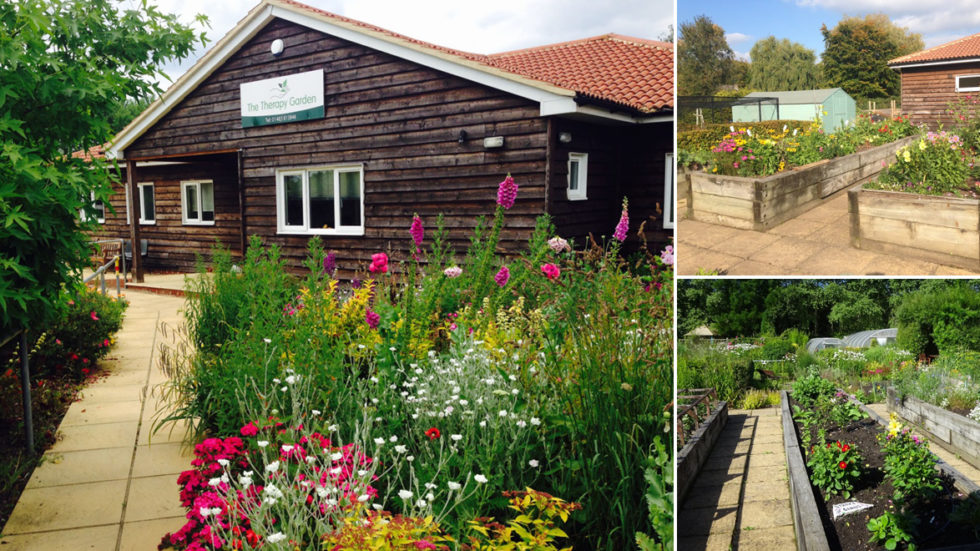 The Therapy Garden