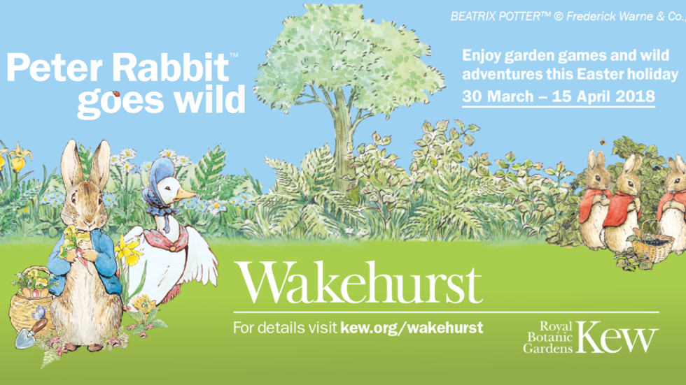 Peter Rabbit Goes Wild At Wakehurst