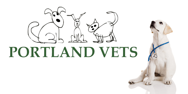 The Waiting Is Nearly Over! Portland Vets Opening Soon In Horley