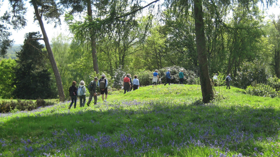 Get A Spring In Your Step & Enjoy The Mole Valley Ramblers Festival