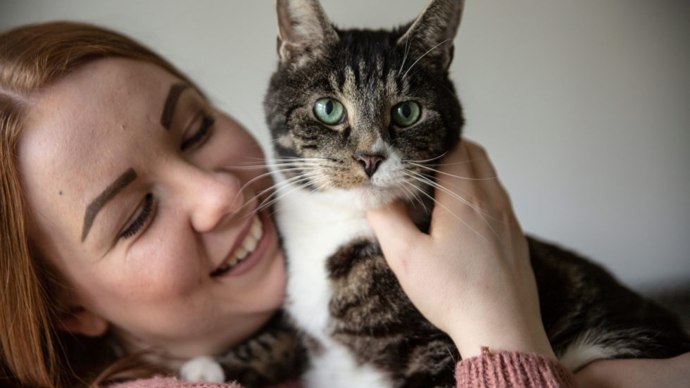 Much-loved Mid Sussex Pet Up For National Cat Award