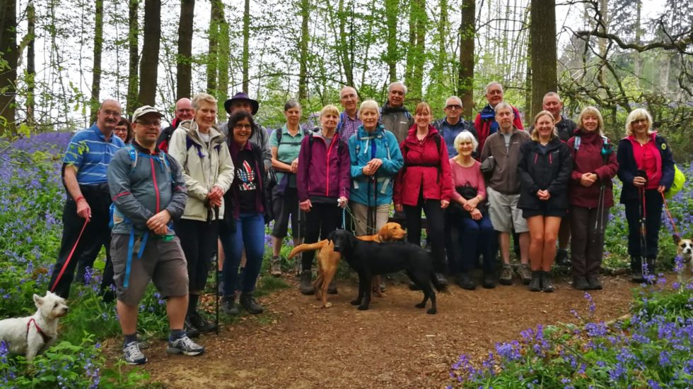 Surrey Ramblers Feel The Festival Vibe Once Again