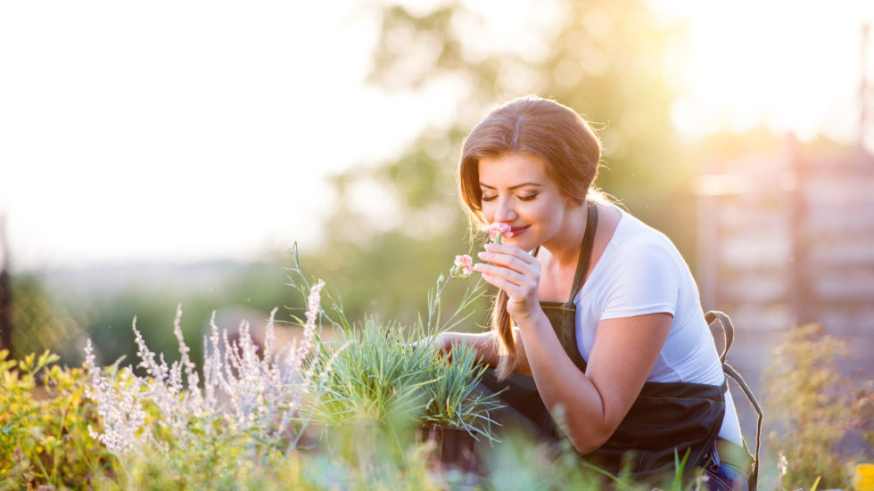 Creating A Back To Work Chillout Zone