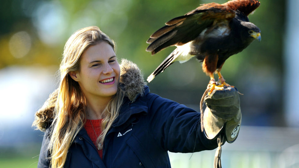 Autumn Show & Game Fair Returns To Ardingly