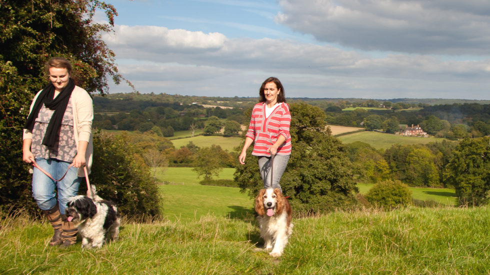 Walkers Put Their Best Foot Forward In Successful Festival