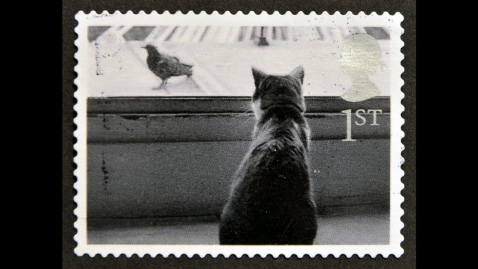 Help Cats Across  Mid Sussex With A Stamp