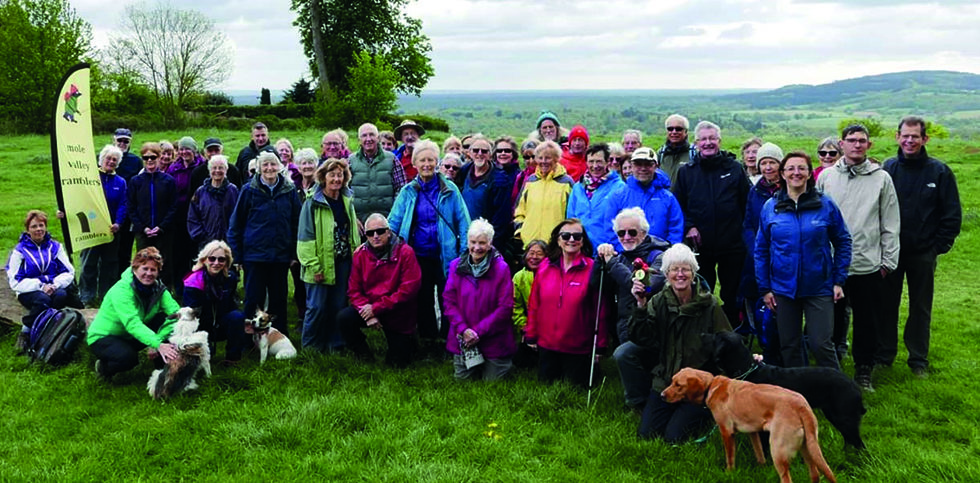 Put Your Walking Boots On For The Mole Valley Spring Walks Festival 2020