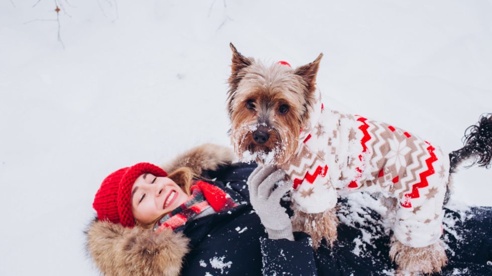 The Ultimate Winter Pet Guide