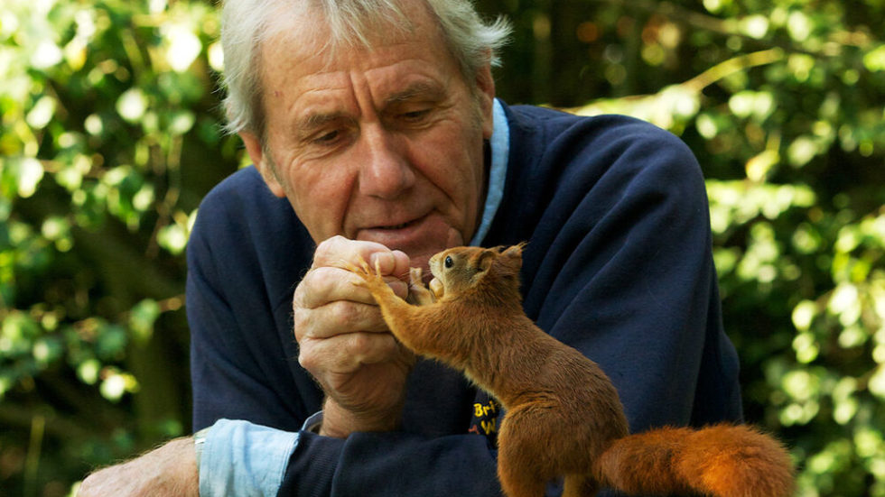 The British Wildlife Centre Is Now Open – Book Your Visit Now!