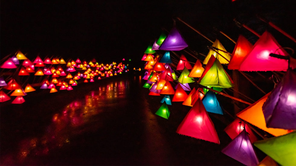 CLOSED – WIN X1 Family Ticket To Glow Wild At Wakehurst