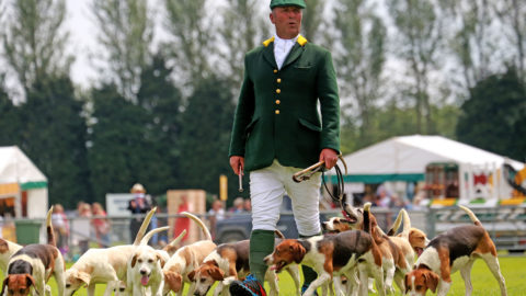 The South Of England Show