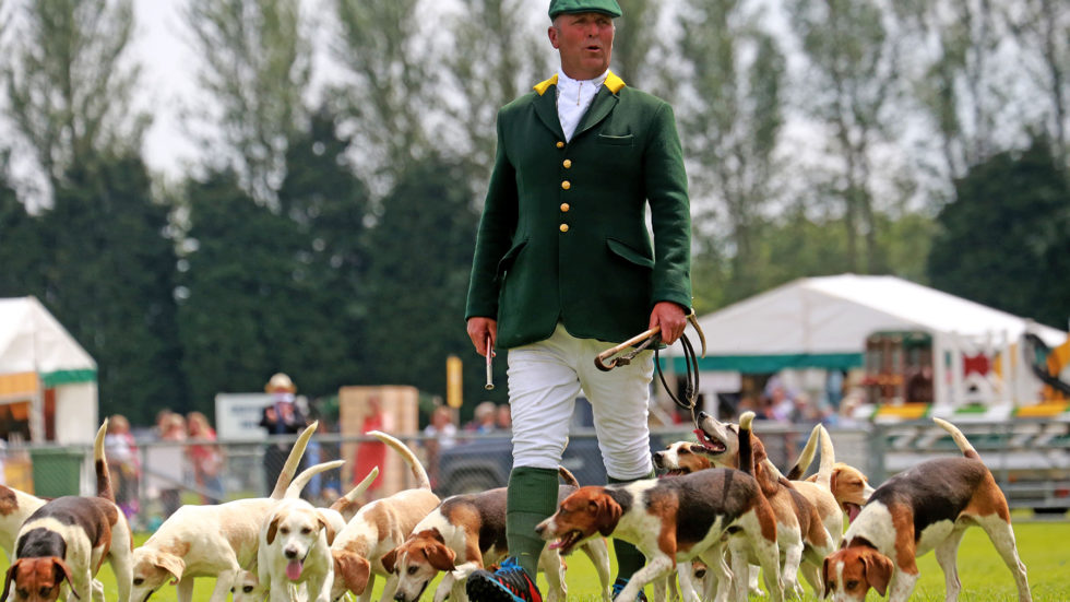 The South Of England Show Returns In Glorious Sunshine