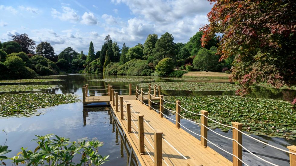 CLOSED – WIN A Pair Of Tickets To See Sheffield Park’s Waterlily Festival