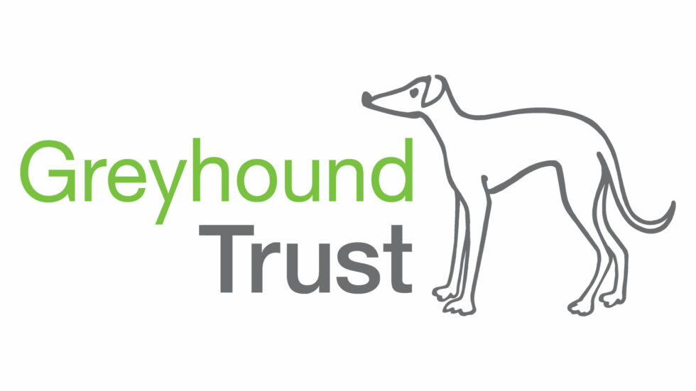 Greyhounds – Myth Or Truth?