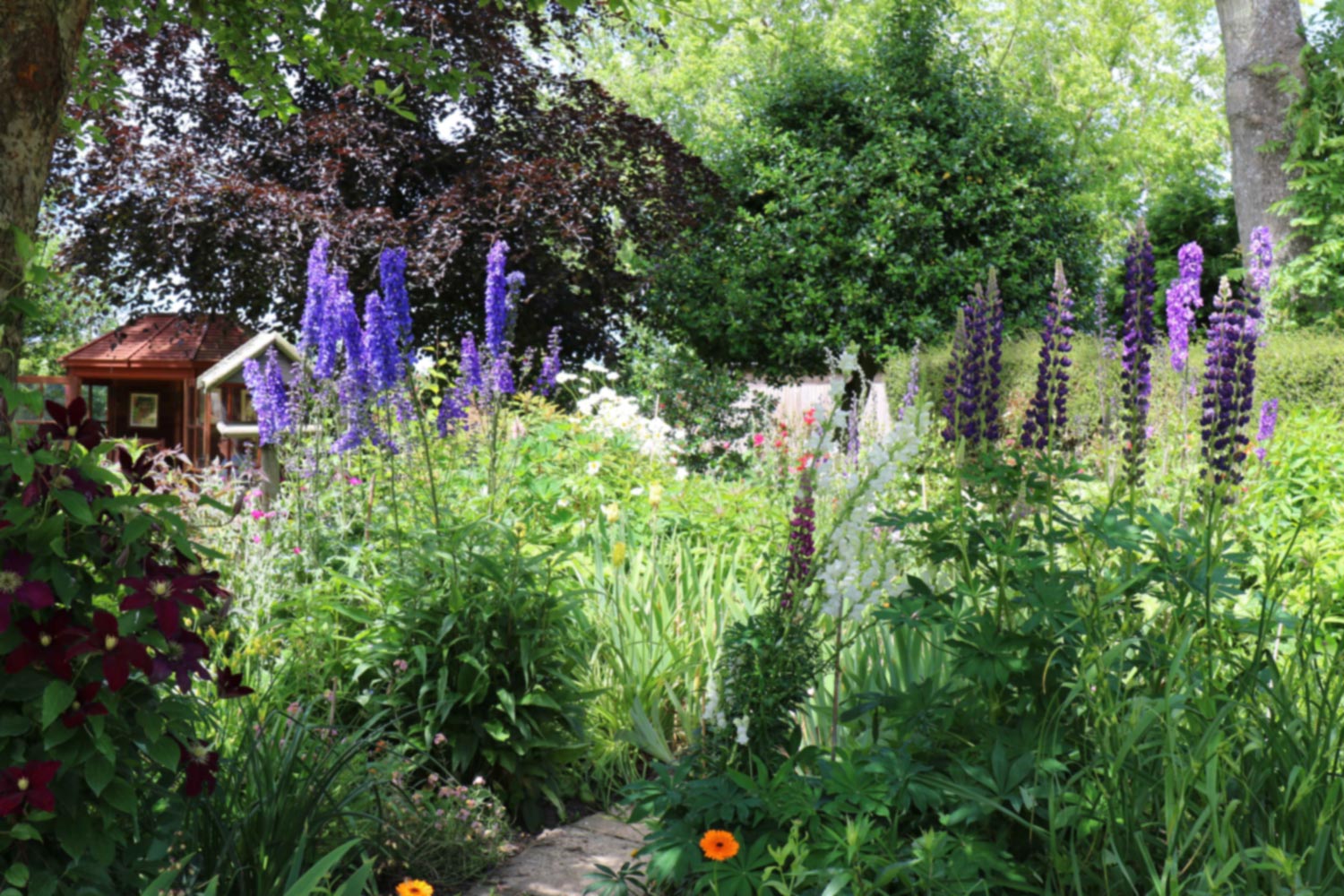 Fletching-Garden-Trail-2017-102