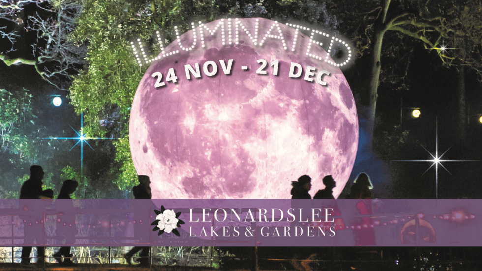 Leonardslee Illuminated 2023